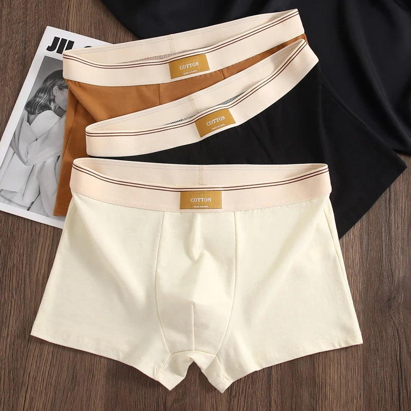 New Fashion Men's Briefs Cotton Breathable Underpants Sexy Comfortable For Men Solid Color Men Underpants